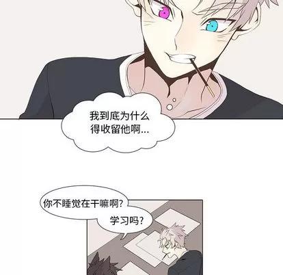 野性之城 野性之城 | 第15章 第18页