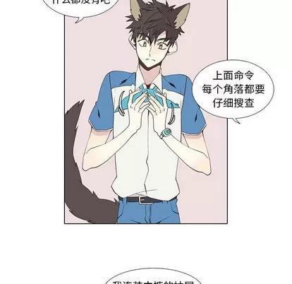 野性之城 野性之城 | 第16章 第32页