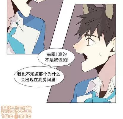 野性之城 野性之城 | 第16章 第45页