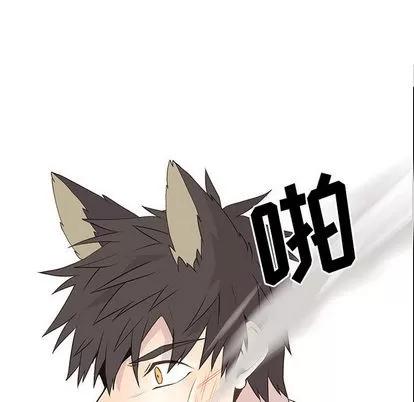 野性之城 野性之城 | 第16章 第49页