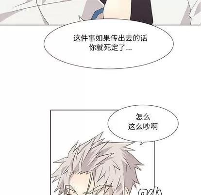 野性之城 野性之城 | 第22章 第28页