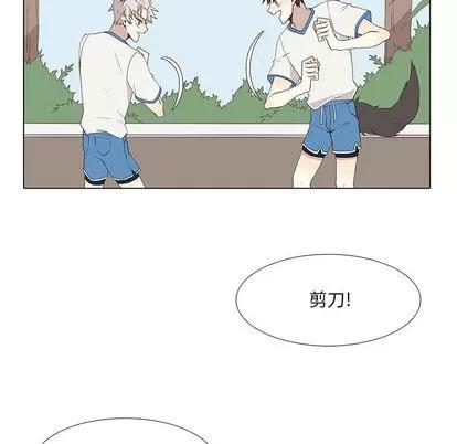 野性之城 野性之城 | 第22章 第52页