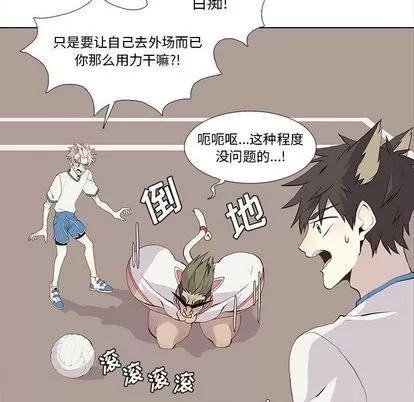 野性之城 野性之城 | 第24章 第19页