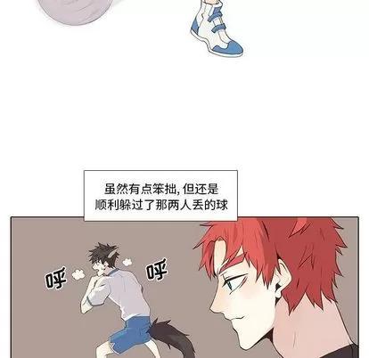野性之城 野性之城 | 第24章 第29页