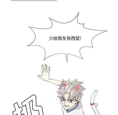 野性之城 野性之城 | 第25章 第17页