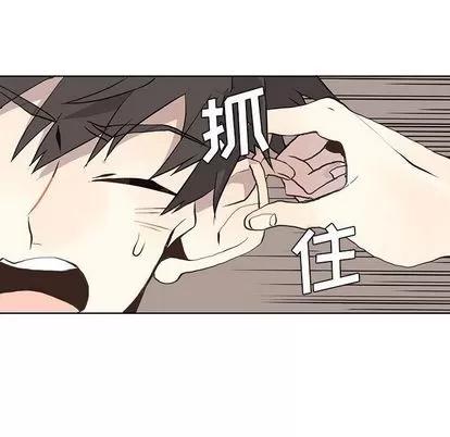 野性之城 野性之城 | 第25章 第39页