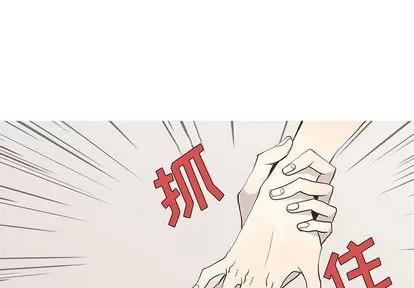 野性之城 野性之城 | 第26章 第1页