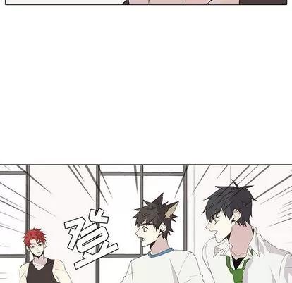 野性之城 野性之城 | 第26章 第11页