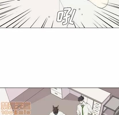 野性之城 野性之城 | 第26章 第25页