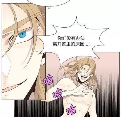 野性之城 野性之城 | 第27章 第29页