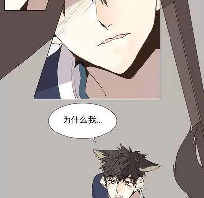 野性之城 野性之城 | 第28章 第14页