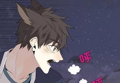 野性之城 野性之城 | 第30章 第2页