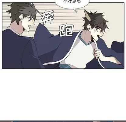 野性之城 野性之城 | 第30章 第12页