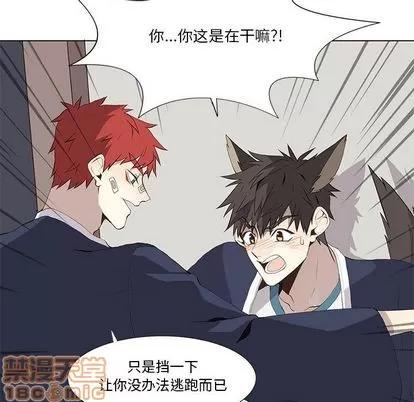 野性之城 野性之城 | 第30章 第50页