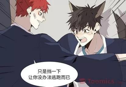 野性之城 野性之城 | 第31章 第2页