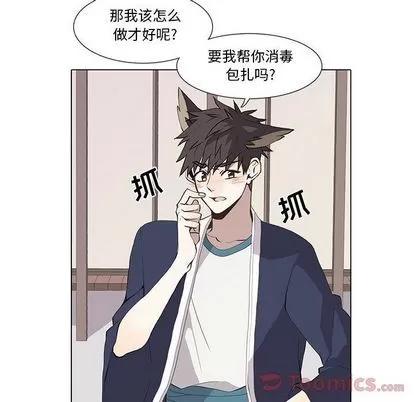 野性之城 野性之城 | 第31章 第26页