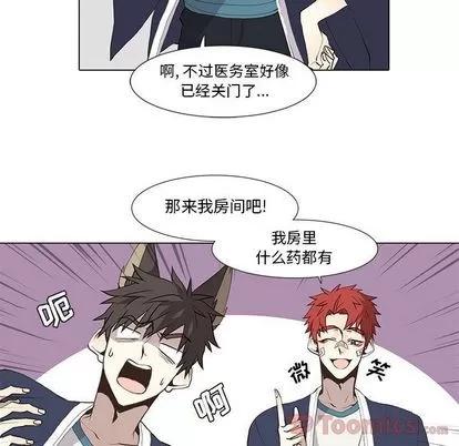 野性之城 野性之城 | 第31章 第27页
