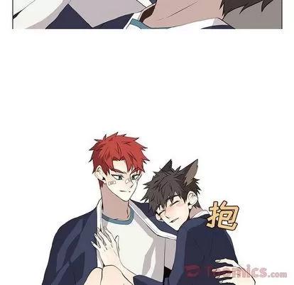 野性之城 野性之城 | 第31章 第59页