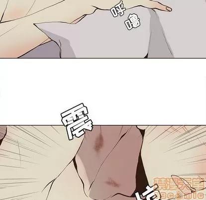 野性之城 野性之城 | 第33章 第25页