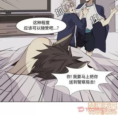 野性之城 野性之城 | 第33章 第30页