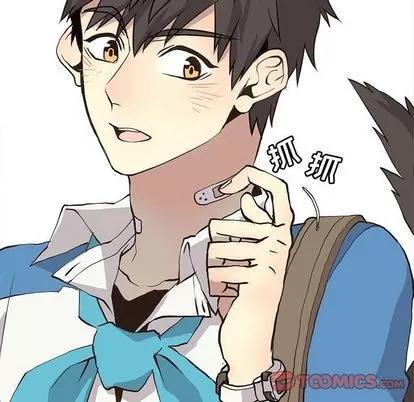 野性之城 野性之城 | 第34章 第52页