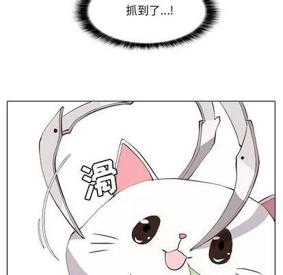 野性之城 野性之城 | 第35章 第16页