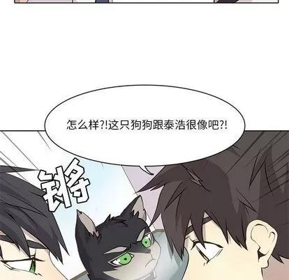 野性之城 野性之城 | 第35章 第44页