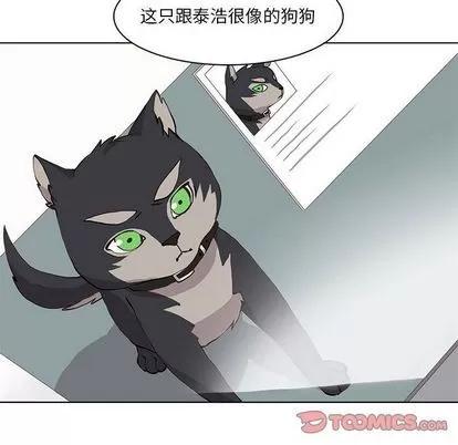野性之城 野性之城 | 第35章 第49页