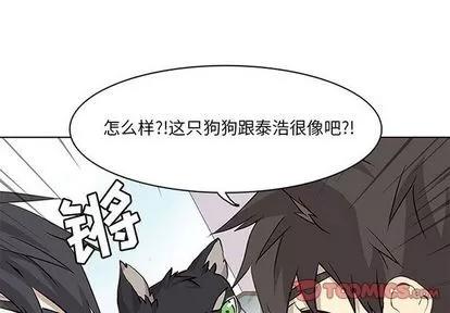 野性之城 野性之城 | 第36章 第1页
