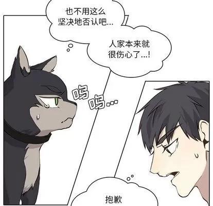 野性之城 野性之城 | 第36章 第12页