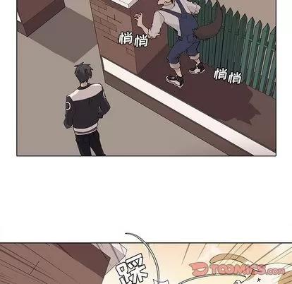 野性之城 野性之城 | 第36章 第19页