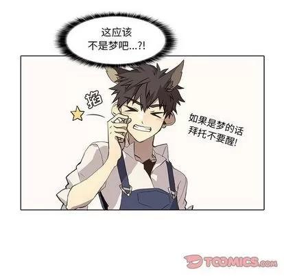 野性之城 野性之城 | 第36章 第51页