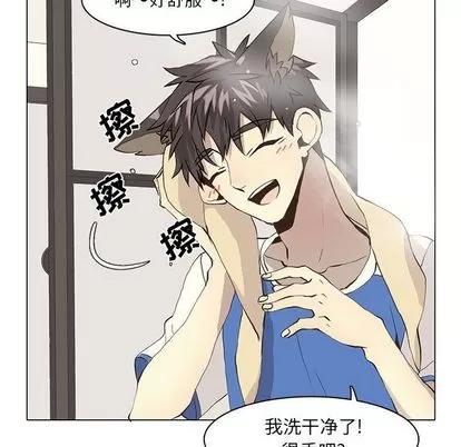 野性之城 野性之城 | 第38章 第42页