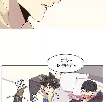 野性之城 野性之城 | 第38章 第47页