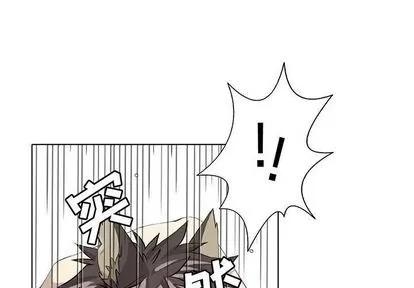 野性之城 野性之城 | 第39章 第1页