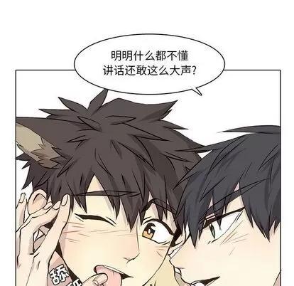 野性之城 野性之城 | 第39章 第11页