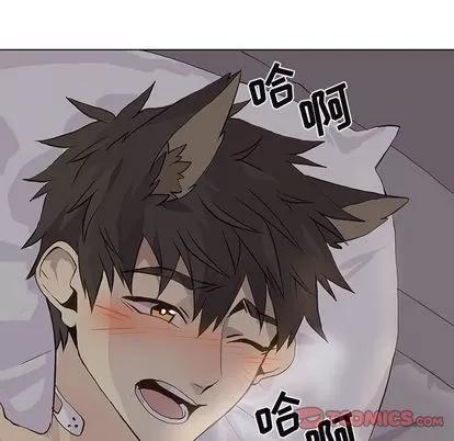 野性之城 野性之城 | 第39章 第32页