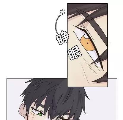 野性之城 野性之城 | 第40章 第11页