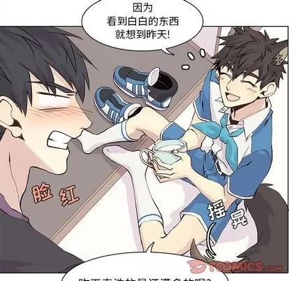 野性之城 野性之城 | 第40章 第24页