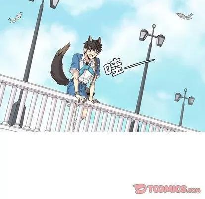 野性之城 野性之城 | 第40章 第32页