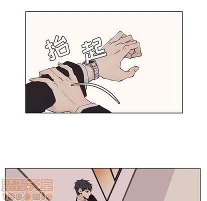 野性之城 野性之城 | 第40章 第55页