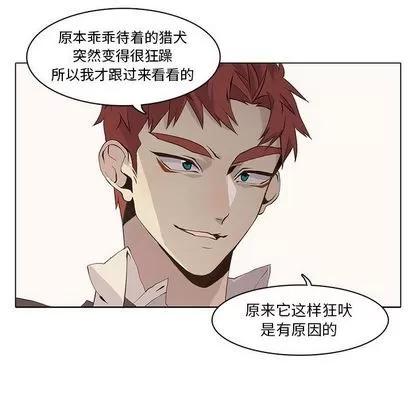 野性之城 野性之城 | 第40章 第63页