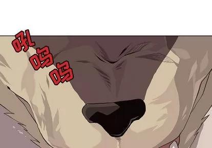 野性之城 野性之城 | 第41章 第1页