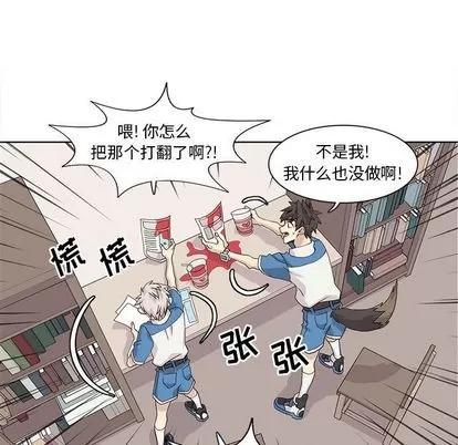 野性之城 野性之城 | 第41章 第13页