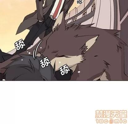野性之城 野性之城 | 第41章 第25页
