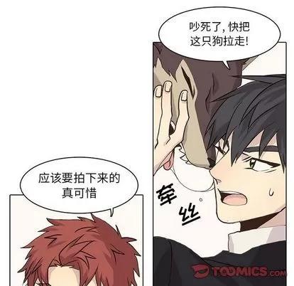野性之城 野性之城 | 第41章 第26页
