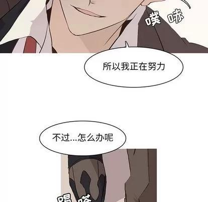 野性之城 野性之城 | 第41章 第41页
