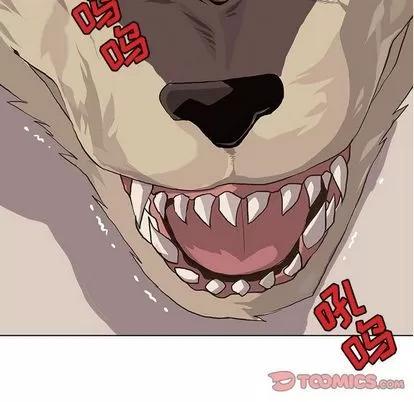 野性之城 野性之城 | 第41章 第56页