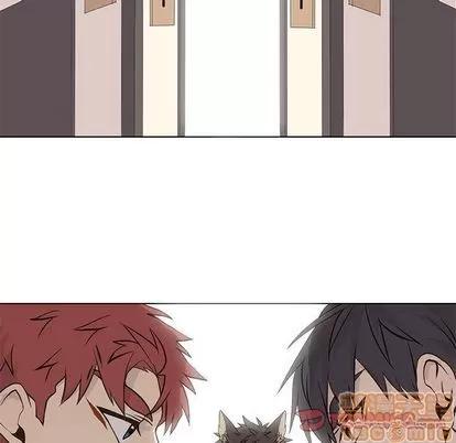 野性之城 野性之城 | 第41章 第60页