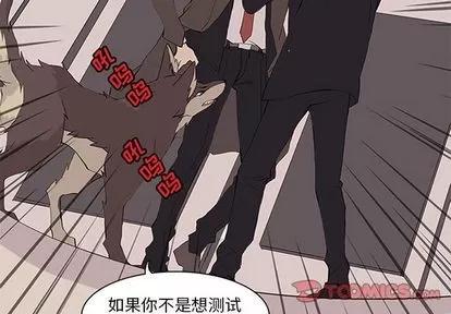 野性之城 野性之城 | 第42章 第2页